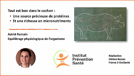 Pour la santé aussi tout est bon dans le cochon ! par Astrid Romain - Micronutritionniste - Endobiogéniste - Acteurs Locaux 82