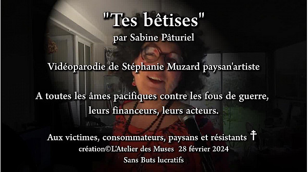''Tes bêtises'' par Sabine Pâturiel vidéoparodie Stéphanie Muzard