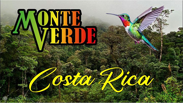 Acteurs-Locaux Les FUSOTISTES  123  au COSTA RICA   -   Faut il faire le parc de MONTE VERDE