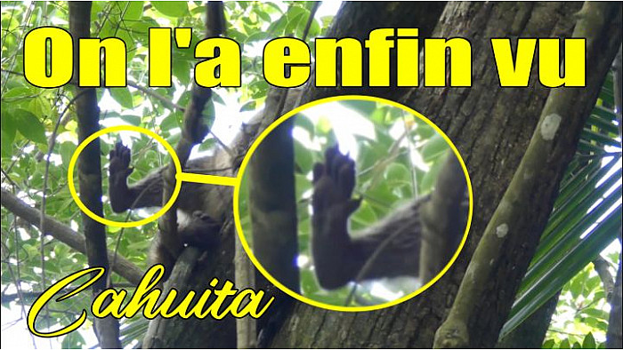 Acteurs-Locaux Les FUSOTISTES 132 au COSTA RICA - Parc National de Cahuita I Costa Rica