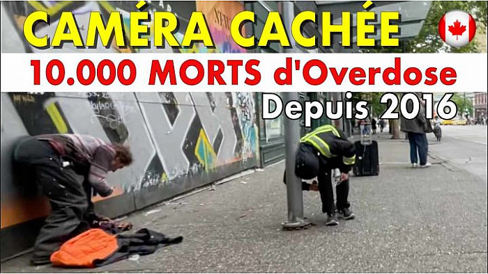 Acteurs-Locaux Les FUSOTISTES  76  au  CANADA   -   VANCOUVER, Drogue mais pas que ...