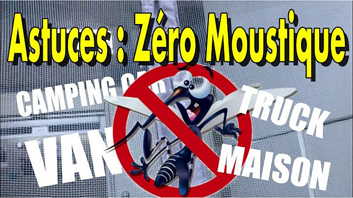 Acteurs-Locaux Les FUSOTISTES Techniques Conseils -  ZERO Moustique dans ma cellule