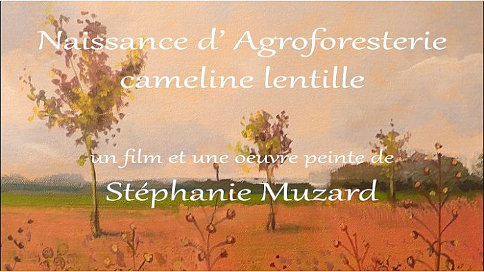"Naissance d'Agroforesterie cameline lentille" par Stéphanie Muzard
