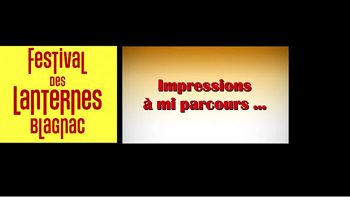 Blagnac :festival des lanternes  bilan à mi parcours  12 jours restants !!