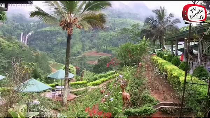 3ème volet concernant notre visite au Sri Lanka.@PleinVentVoyage #srilanka#Tourisme#Selectour Afat