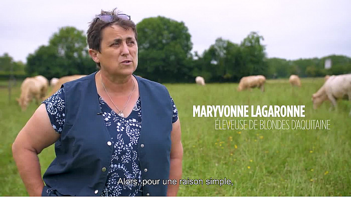 Acteurs-Locaux - Des Blondes d'Aquitaine BIEN ÉLEVÉE ! Élevage durable avec Maryvonne LAGARONNE - Pyrénées-Atlantiques - @INTERBEV