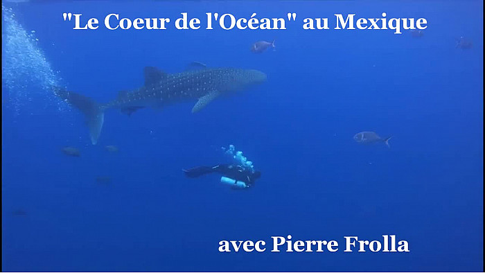 Approche TV  Pierre Frolla, "Le Coeur de l'Océan" plongée "Cabo Pierce" et "The Boiler" au Mexique @PierreFROLLA @greglecoeur