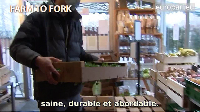 Bientôt à Strasbourg : le changement climatique, de la ferme à la table et la primauté du droit en Pologne
