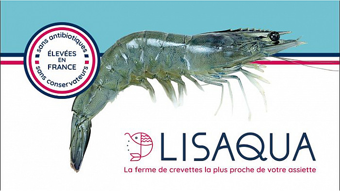 Acteurs Locaux Loire-Atlantique - "Lisaqua, une jeune entreprise qui élève des crevettes françaises sans antibiotiques ni conservateurs"