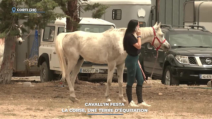 TV Locale Corse - Cavall’in Festa : La Corse, une terre d’équitation