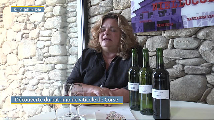 Acteurs-Locaux Tv Locale Corse - Découverte du patrimoine viticole de Corse