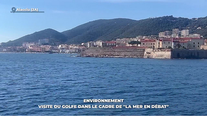 TV Locale Corse - Environnement : visite du golfe dans le cadre de "La mer en débat"