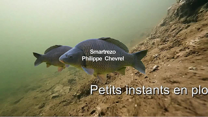 OCTOBRE 2024  Plongée en apnée