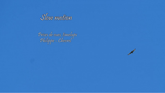 SLOW MOTION