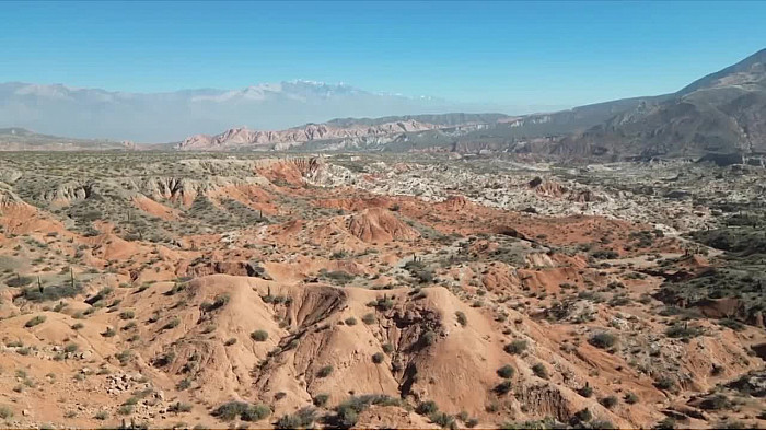 Acteurs-Locaux "Les Boudubouts" 64ème étape en Argentine - Parque National de Los Cardones