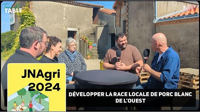 Acteurs-Locaux HULCOQ.FR - Développer la race locale de Porc Blanc de l’Ouest
