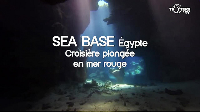Acteurs-Locaux Paris -  Les Experts Trotters au Salon de la Plongée 2025 de Paris avec Sea Base Égypte