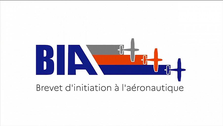 LE BIA en fête à Toulouse Lasbordes #aérodrome #ministère des armées #aviation #tvlocale.fr