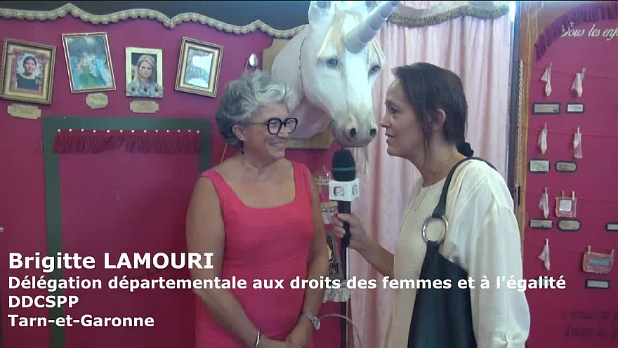 L'art au service de l'égalité au collège Olympe de Gouge. Interview de Brigitte Lamouri - Délégation départementale aux droits des femmes et à l'égalité DDCSPP