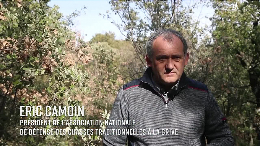 Approche Rurale TV : Et si vous changiez enfin d'opinion concernant la Chasse à la glu ? @ChasseursFrance
