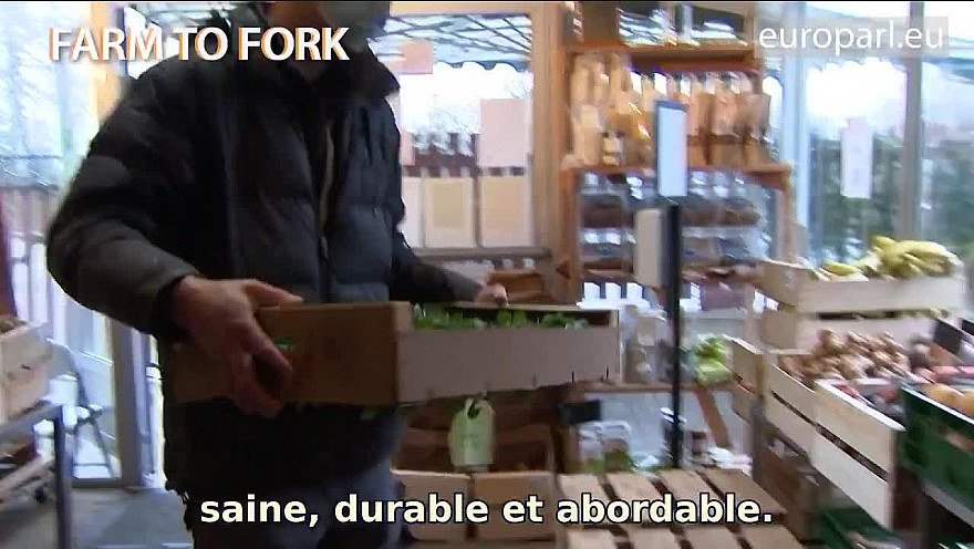 Bientôt à Strasbourg : le changement climatique, de la ferme à la table et la primauté du droit en Pologne