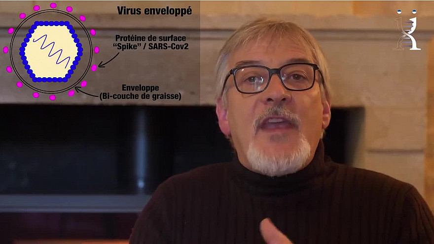 Covid-19 : Les Technologies Vaccinales à la loupe