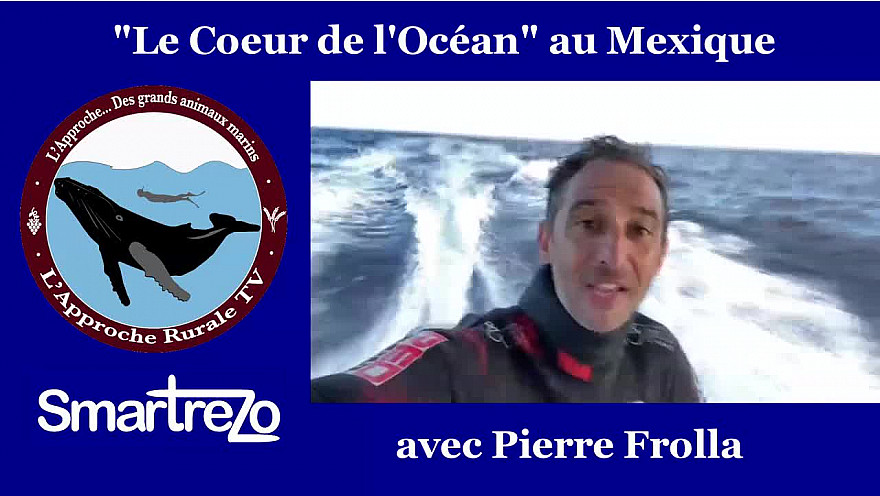 Approche TV : 'Le Coeur de l'Océan avec Pierre FROLLA à Roca Partida au Mexique @PierreFROLLA