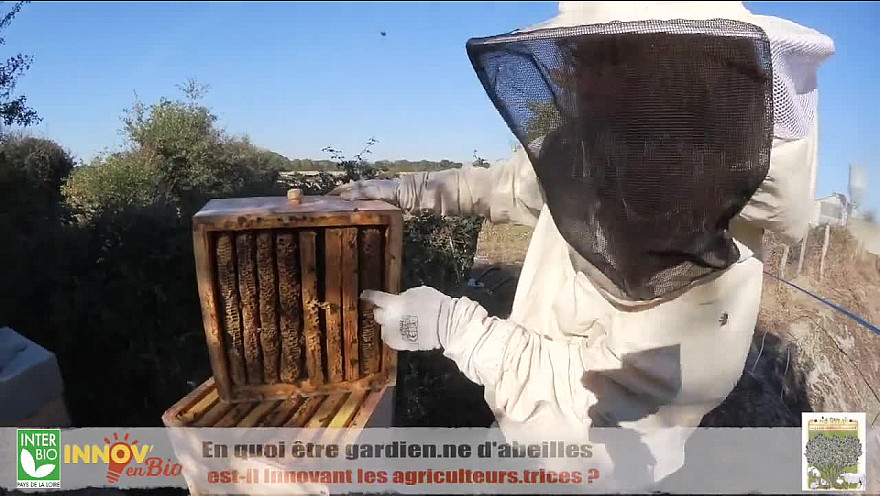 Tv locale Angers - 'Manger Vrai' - Gardien-ne d'abeilles, ça vous tente ?