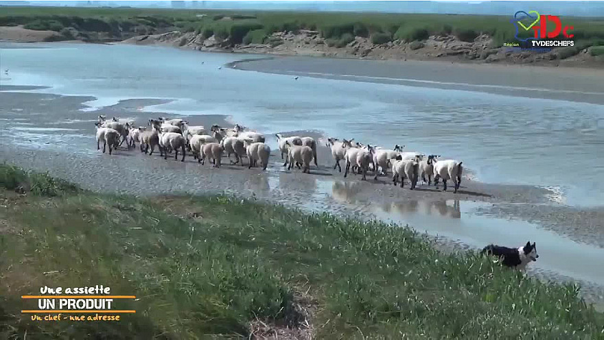 TVdeschefs - L'agneau de Pré-Salé : une viande d'exception !