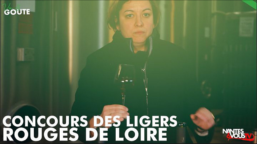 TV Locale Pays-de-la-Loire :  Découvrez 3 lauréats rouge du Concours des Ligers avec Mathilde Ollivier oenologue !