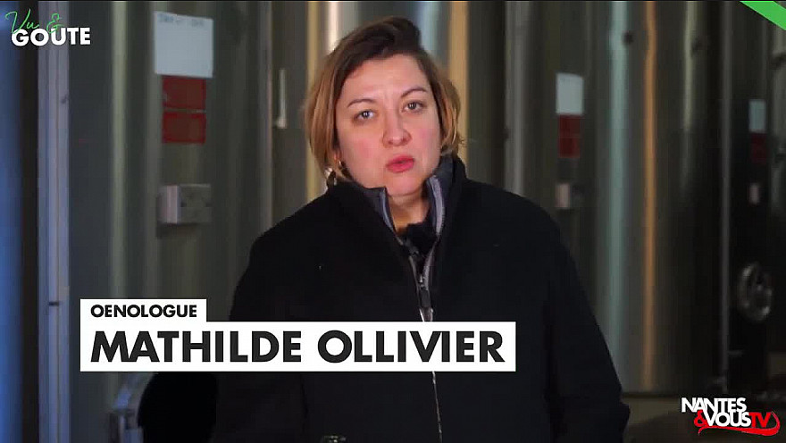 TV Locale Nantes : 3 Muscadets du DOMAINE DE LA GRENAUDIERE