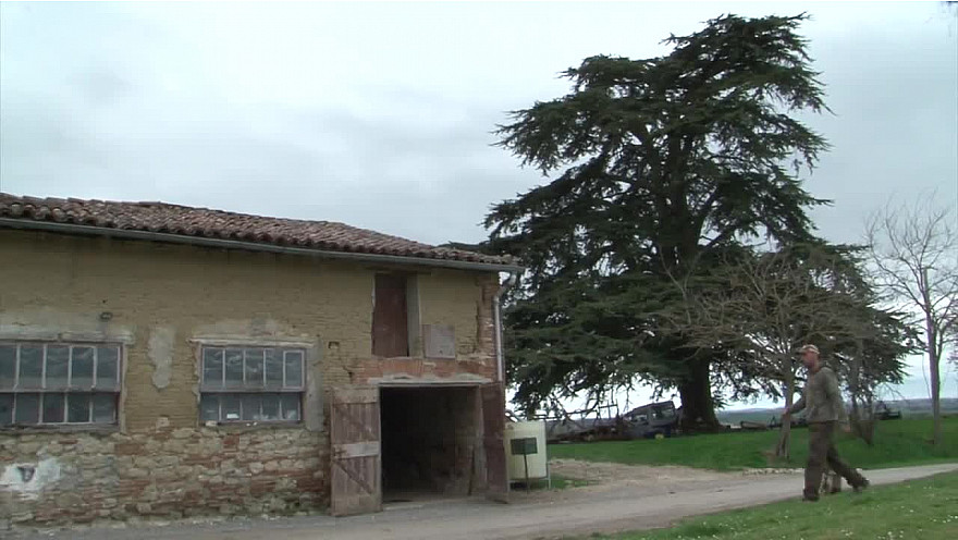 Lauragumes, Frederic Castanet, agriculteur engagé à Maureville (Haute Garonne)