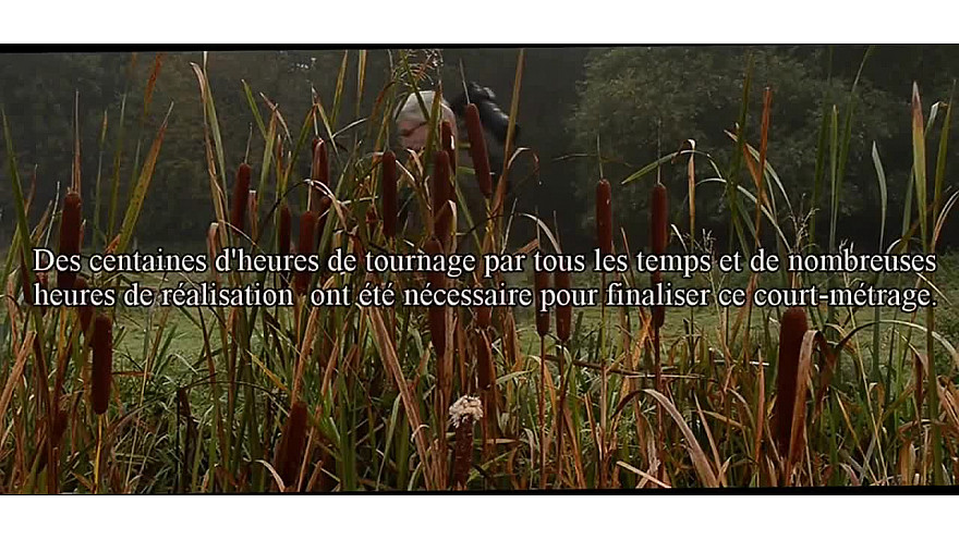 En Approche... : Migrer pour Perpétuer l'Espèce. #Truite de mer